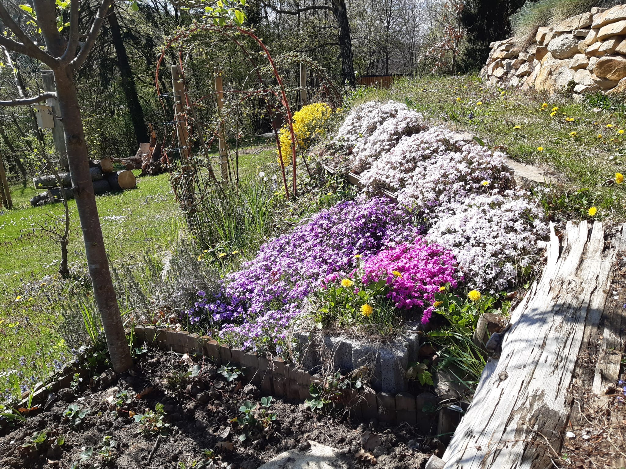 Garten 10 – Trockensteinmauern